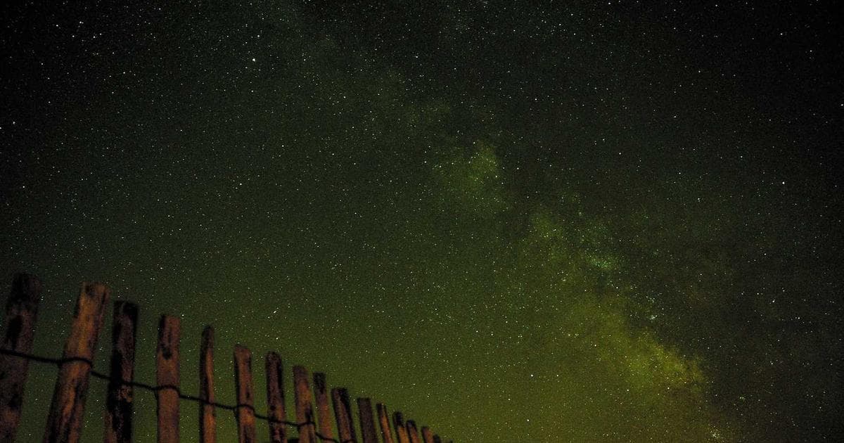 ¿Grupos de WhatsApp fuera de control? Hay una mejor manera