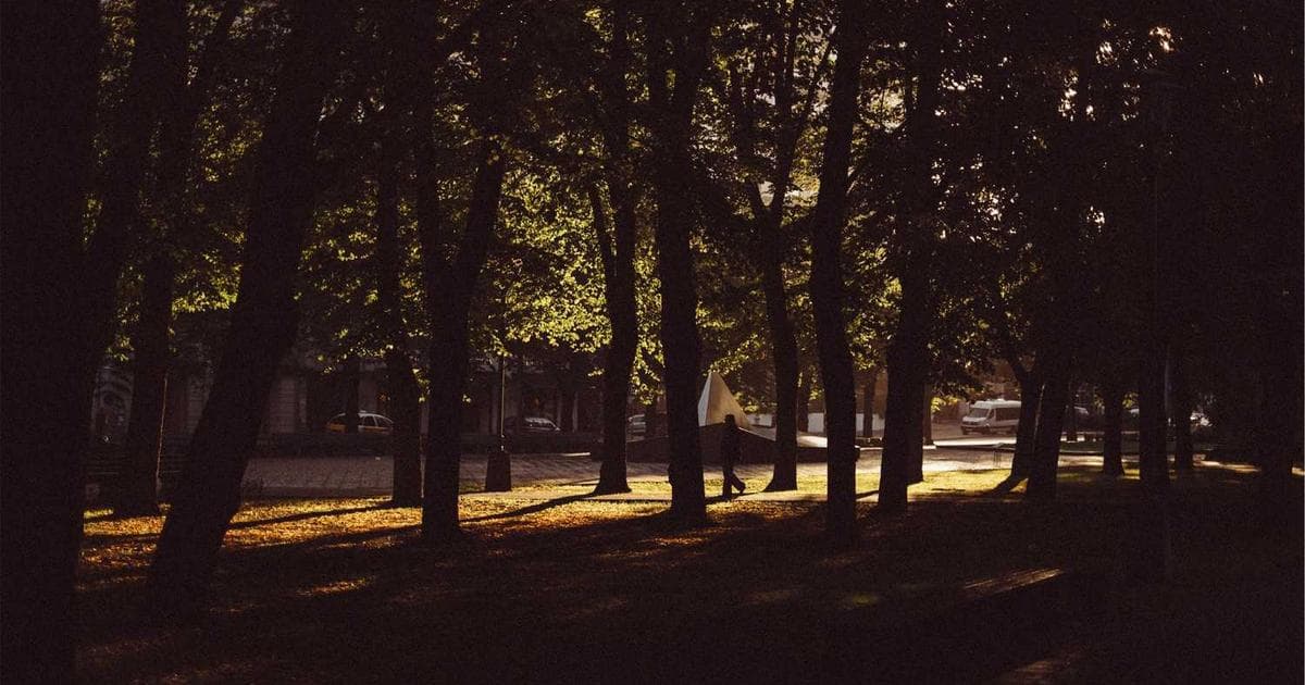 Un Buen Vecino También es un Dueño Responsable: La Importancia de Recoger las Heces de tu Mascota