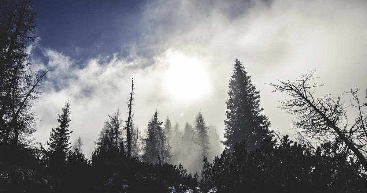 De Vecino a Vecino: ¿Y si Vivir en Nuestro Condominio Fuera Más Fácil?