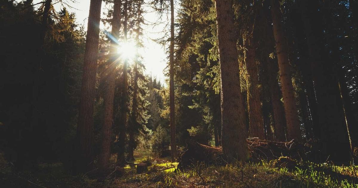 Glosario Esencial del Condominio: Tu Guía para Entender el Lenguaje Legal en México